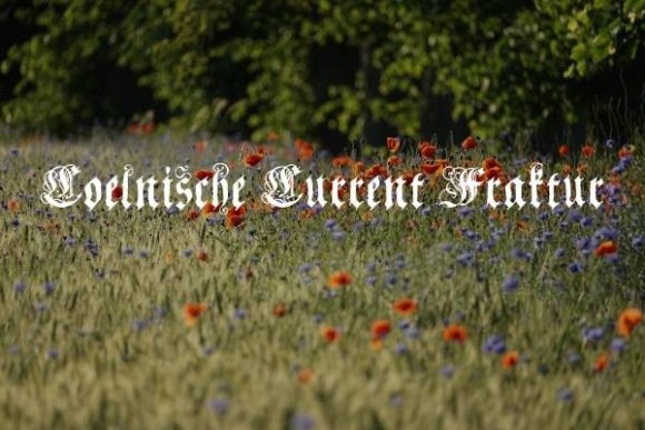 Coelnische Current Fraktur: A Bold Choice for Distinctive Projects