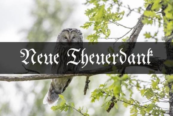 Neue Theuerdank: A Bold Blackletter for Modern Branding