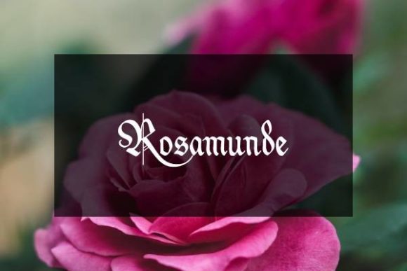Rosamunde: A Modern Blackletter for Distinctive Design